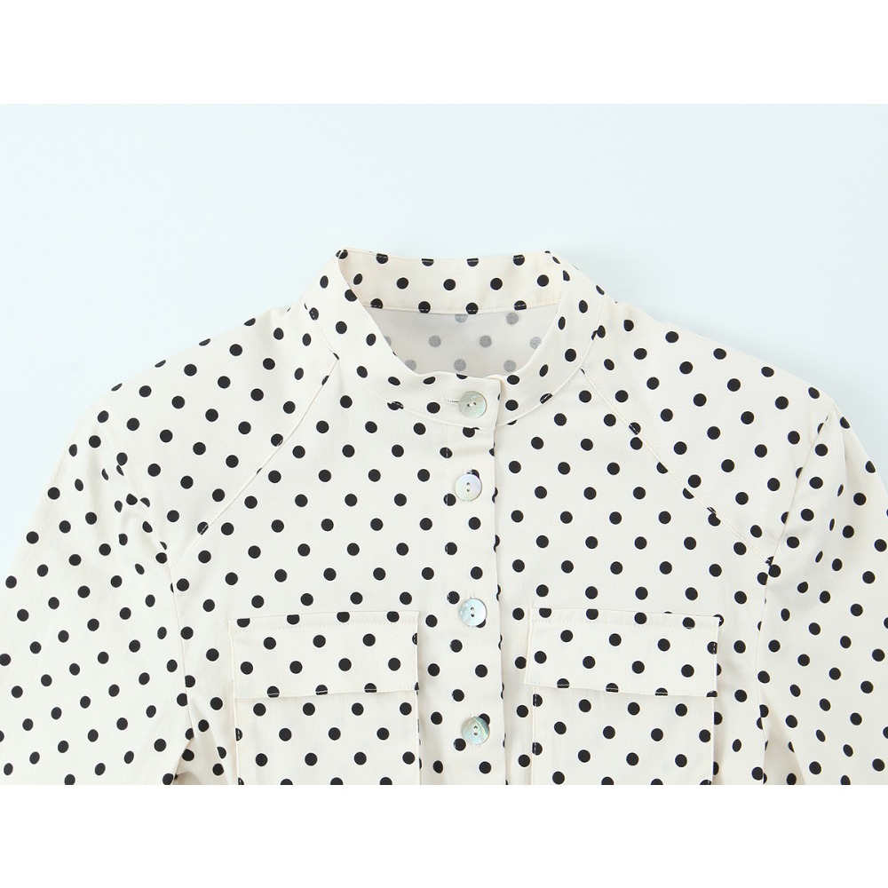 Elegant Chic Fitted Polka Dot  - огляд і ціна Matcha