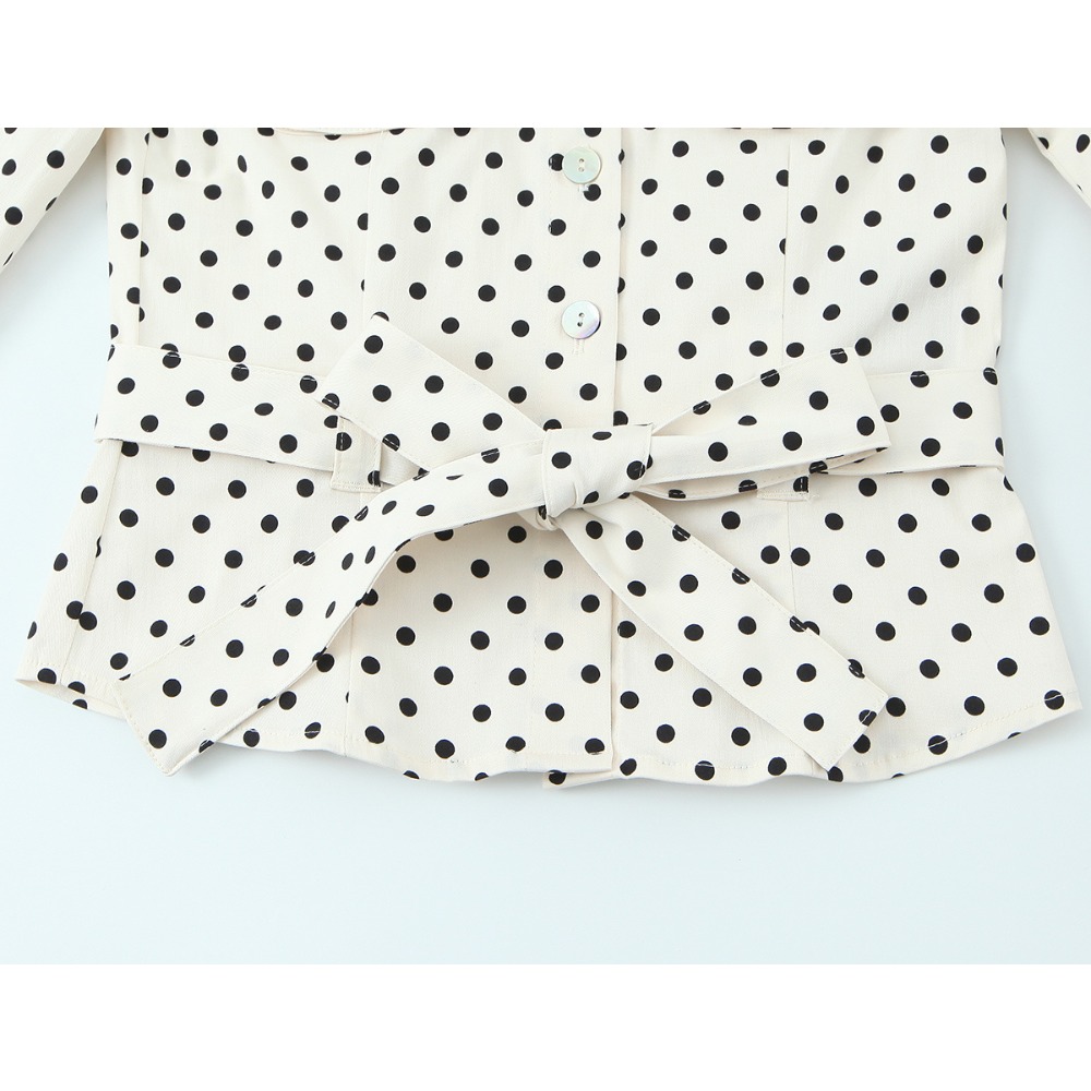 Elegant Chic Fitted Polka Dot  - огляд і ціна Matcha